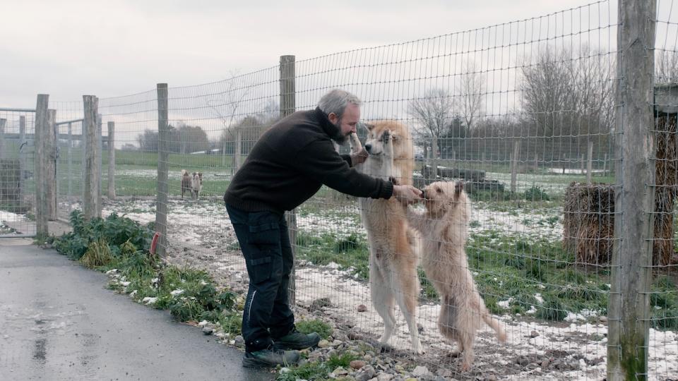 Styr på de firbenede venner hos Måløv hundepension
